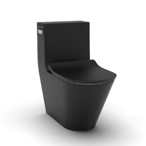 KOHLER BRAZN 1PC TOILET WITH SLIM QUIET CLOSE SEAT
