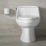 KOHLER SAN RAPHAEL CLASS 5 SKIRTED TRAPWAY 1PC TOILET - Image 2