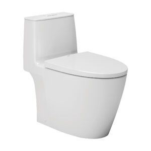 INAX S200 ONE PIECE TOILET