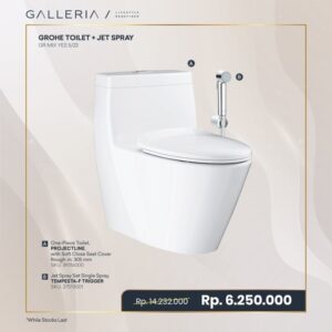 GROHE PROJECTLINE TOILET PACKAGE