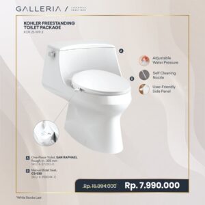 KOHLER TOILET PACKAGE