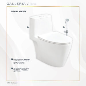 GROHE BAULINES TOILET + JET SPRAY 2