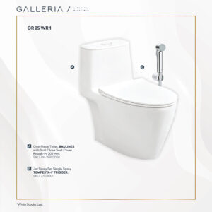 GROHE BAULINES TOILET + JET SPRAY 1