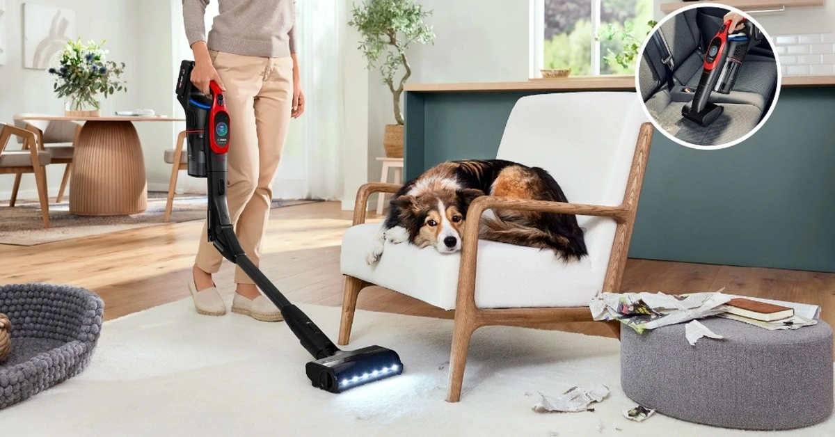 cara merawat hewan peliharaan dengan bosch