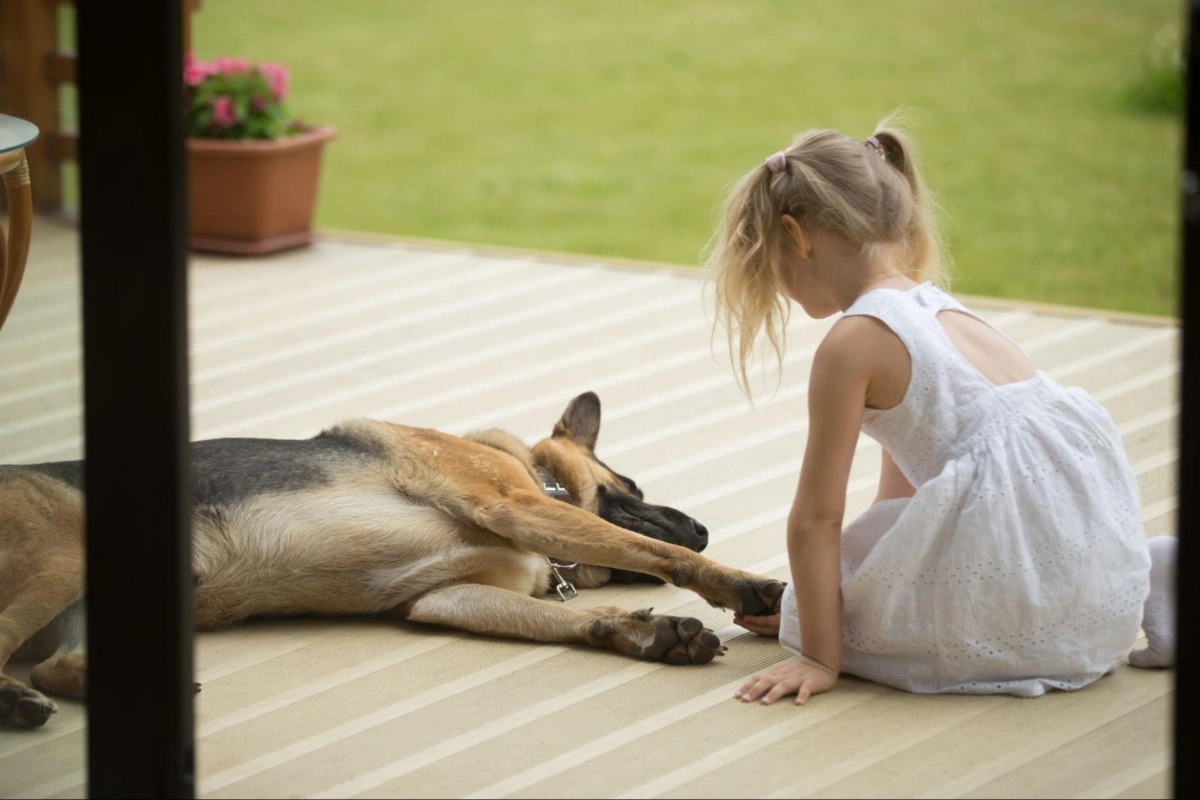 Lantai kayu outdoor pet friendly