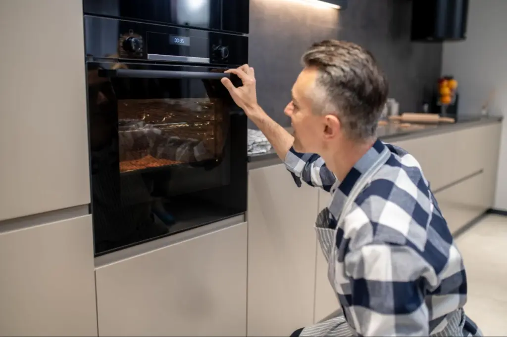 ilustrasi oven besar listrik bosch